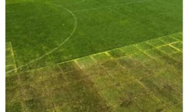 El césped del Monumental en su peor momento de cara al Superclásico ante Boca