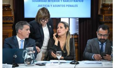 Ley de armas: aval del oficialismo y bloques aliados para debatir en el Senado la regularización y programa de entrega