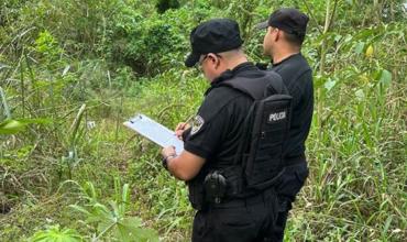 Horror en Misiones: encontraron restos humanos en una zona de malezas cerca de la ruta 12