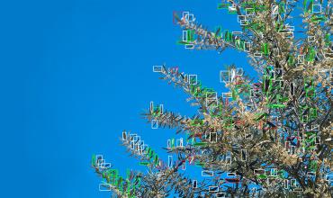 Inteligencia artificial: un científico argentino diseñó un robot único para controlar plagas