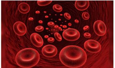 Mielofibrosis en Argentina: 1 de cada 3 pacientes sufre anemia