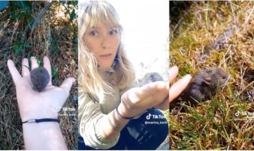 Una influencer tocó en Bariloche un ratón que transmite hantavirus y subió el video a TikTok