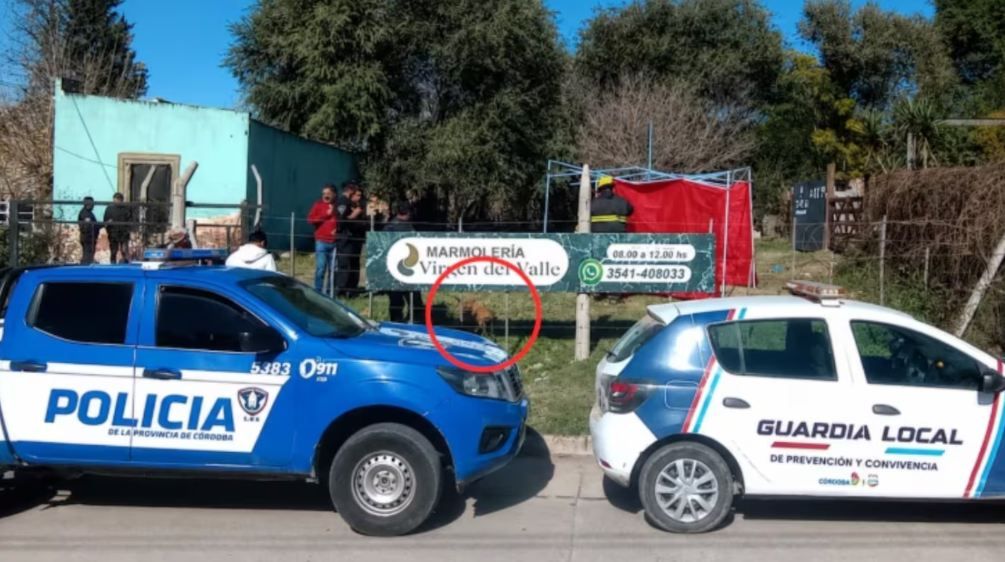 339182_1778757801.jpg