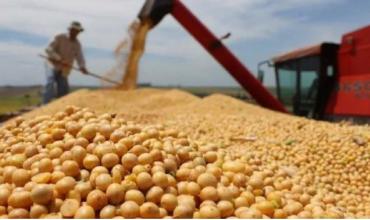 Leve mejora del monto total de dólares que el campo ingresará por sus exportaciones