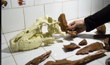 Hallazgo histórico en Talampaya: descubren un "primo" gigante de los cocodrilos que dominó La Rioja hace 237 millones de años
