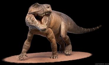 Hallazgo en Talampaya: identifican una nueva especie de ancestro de los cocodrilos que vivió hace 237 millones de años