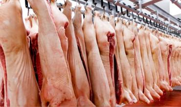 Córdoba: decomisaron más de 100 kilos de carne porcina faenada clandestinamente