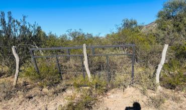 Investigan un nuevo hecho de vandalismo en un campo de Nacate