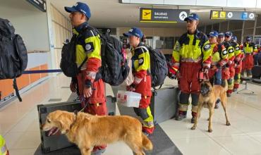 Perros rescatistas tienen un papel protagónico tras los sismos en Venezuela