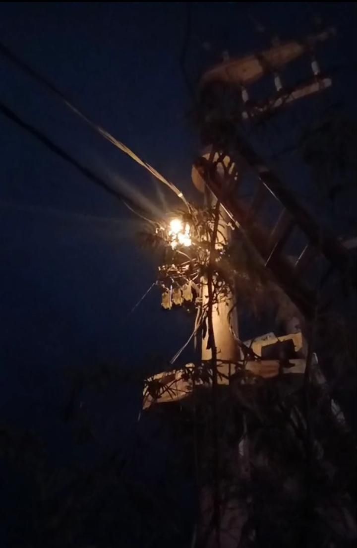 344841_1782952856.jpg