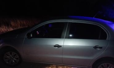 Un conductor evitó chocar contra animales sueltos sobre la Ruta Nacional 75