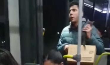 Joven viajaba con un gatito rescatado, lo hicieron bajar del colectivo y el caso abrió el debate sobre el traslado de mascotas