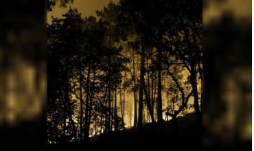 Seis detenidos, incluyendo un bombero, por causar incendio que arrasó más de 2000 hectáreas en el bosque de Fontainebleau