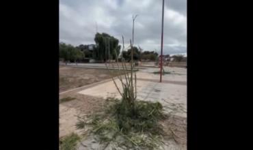 Vandalizaron 11 plantas en el Centro Administrativo y Social de Chepes