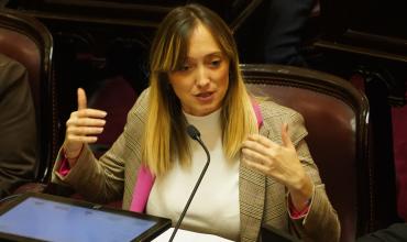 La senadora Fernández Sagasti pidió votar virtualmente la ley de Tierras por estar embarazada
