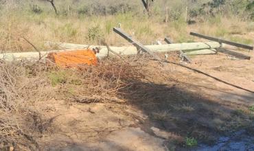 Catuna: cayeron varios postes del tendido eléctrico por el fuerte viento