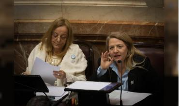 Debate en el Senado por Propiedad Privada: fuerte choque entre La Libertad Avanza y el bloque peronista