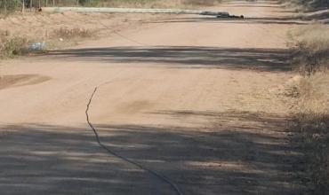 Cayeron varios postes del tendido eléctrico en Catuna y trabajó personal de Edelar