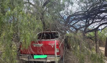 El viento Zonda derribó un árbol sobre un vehículo en la zona sur de Capital