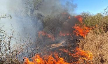Ulapes: sofocaron un incendio de pastizales que se propagó por el fuerte viento