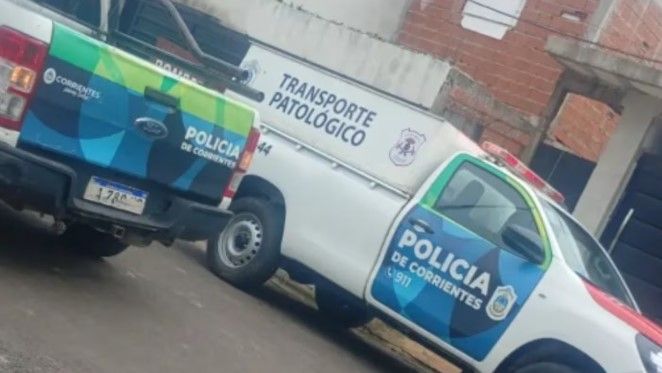 349097_1786481634.jpg