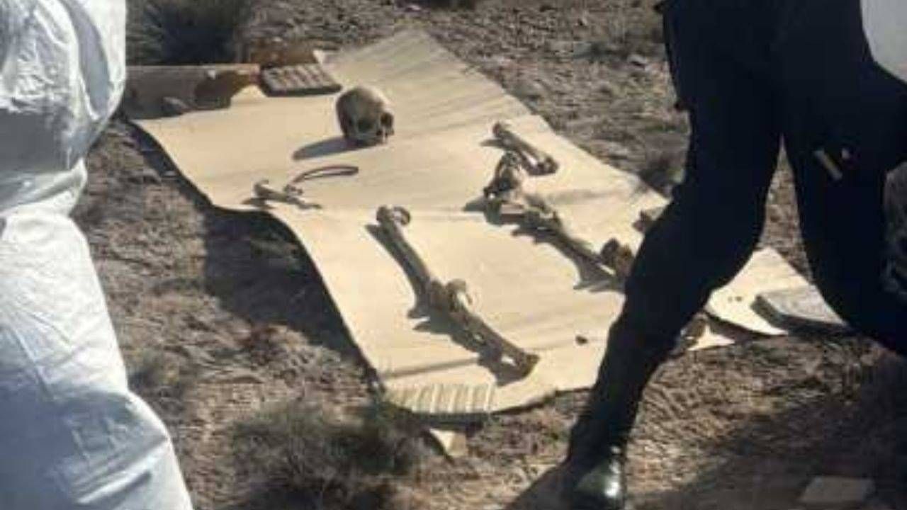 352972_1789405249.jpg