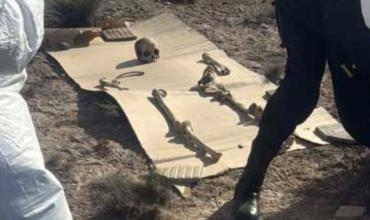 Caminaba con su perro y encontró 125 piezas óseas en Puerto Madryn: revelaron de qué se trata