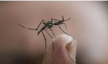 Un virus letal ya mató a 54 personas en Italia: hay 700 casos confirmados
