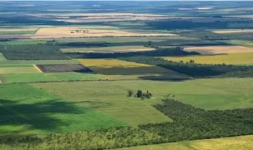 La Corte revocó el fallo que declaraba inconstitucional la derogación de la Ley de Tierras