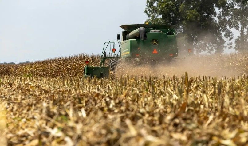Entre la sequía y la amenaza de El Niño: estiman otra cosecha récord