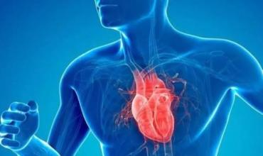 Plan de salud vascular: un cirujano cardiovascular explica por qué la prevención es clave para evitar la muerte súbita