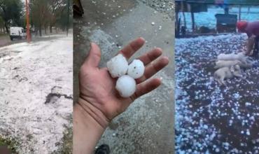 Una fuerte granizada azotó a Santa Fe: familias evacuadas, animales muertos y clases suspendidas
