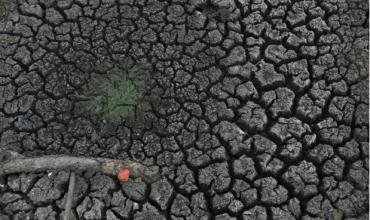 El Niño golpea con sequía a seis departamentos de Bolivia