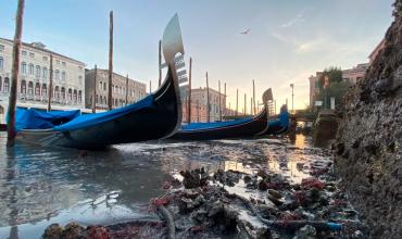 La "maldición" de Venecia: ahora la marea baja complica la vida en la ciudad