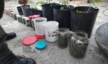 Chilecito: Allanaron una casa que funcionaba como comercio de droga 