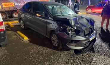 Un auto chocó con una maja de cabras por Ruta Provincial N°29