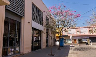 Rentas Municipal lanza una nueva moratoria 