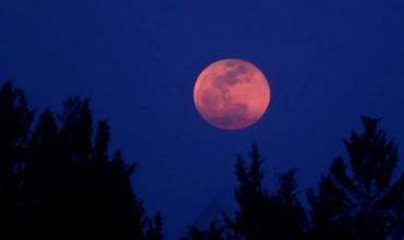 El lento adiós de la Luna: Su distanciamiento de la Tierra y el futuro de la humanidad