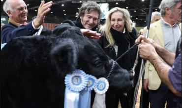 Javier Milei visitará La Rural tras el atentado a la sede y participará de una exposición ganadera