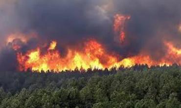 Colombia en alerta por incremento de incendios forestales