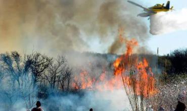 En 6 meses el presupuesto ambiental se redujo un 40%: bosques y combate del fuego, las áreas más afectadas