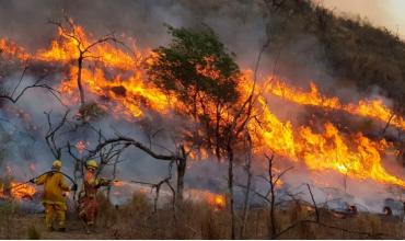 Incendios en Córdoba: el Senado aprobó la emergencia ambiental por 180 días