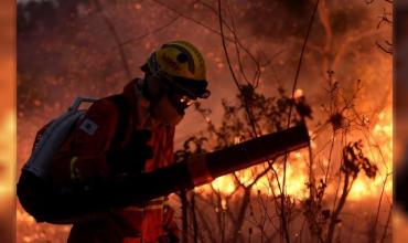 Brasil: Los incendios aumentaron un 76% este año