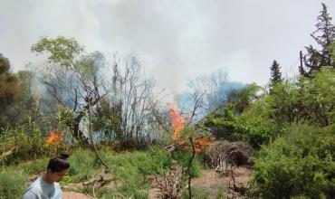 Pituil: Se incendió una finca con cañaveral