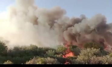 Se produjo un incendio forestal en el departamento San Blas de los Sauces