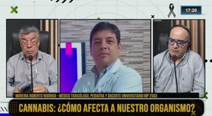 Dr. Roberto Rodrigo Moreira, toxicólogo, en Fenix: “El cannabis tiene efectos psicoactivos que no deben subestimarse”