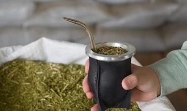 ¿Con o sin polvo?: la ciencia detrás del mate perfecto