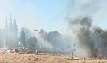 La Rioja en alerta máxima por incendios: bomberos piden extremar cuidados