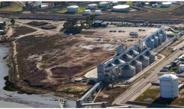Proyectan exportaciones del campo por más de US$ 10.000 millones en el último cuatrimestre del año