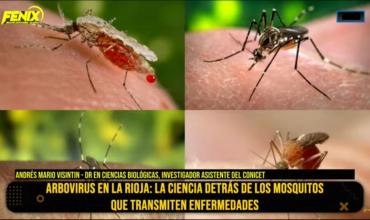 Andrés Mario Visintin: “Detectamos circulación de los virus de Encefalitis de San Luis y del Nilo Occidental en La Rioja”